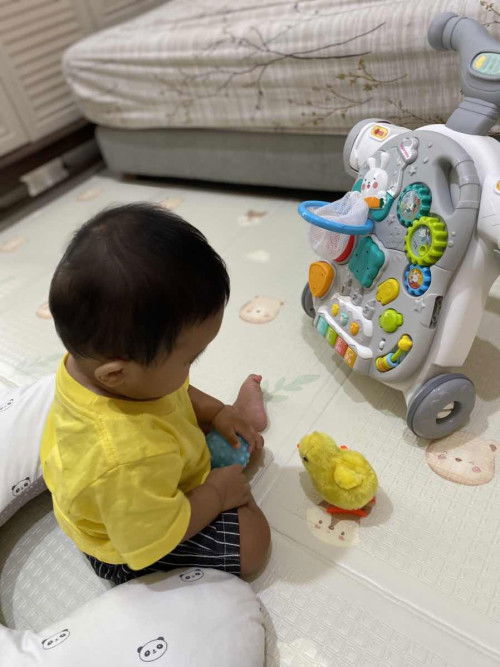 Jual sugarbaby 5in1 walker preloved/bekas