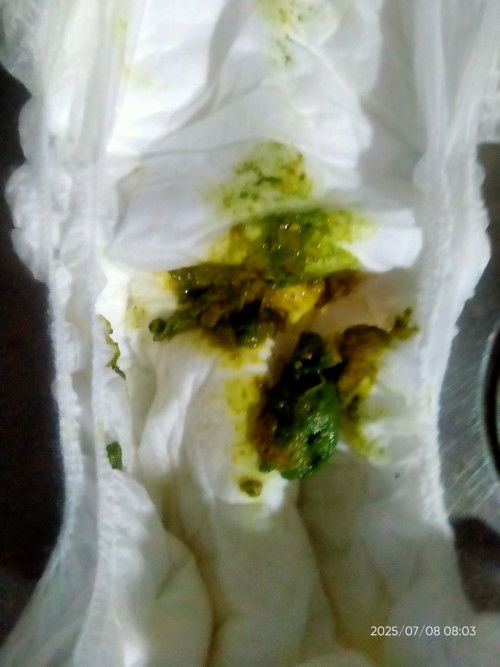 Pup berwarna hijau