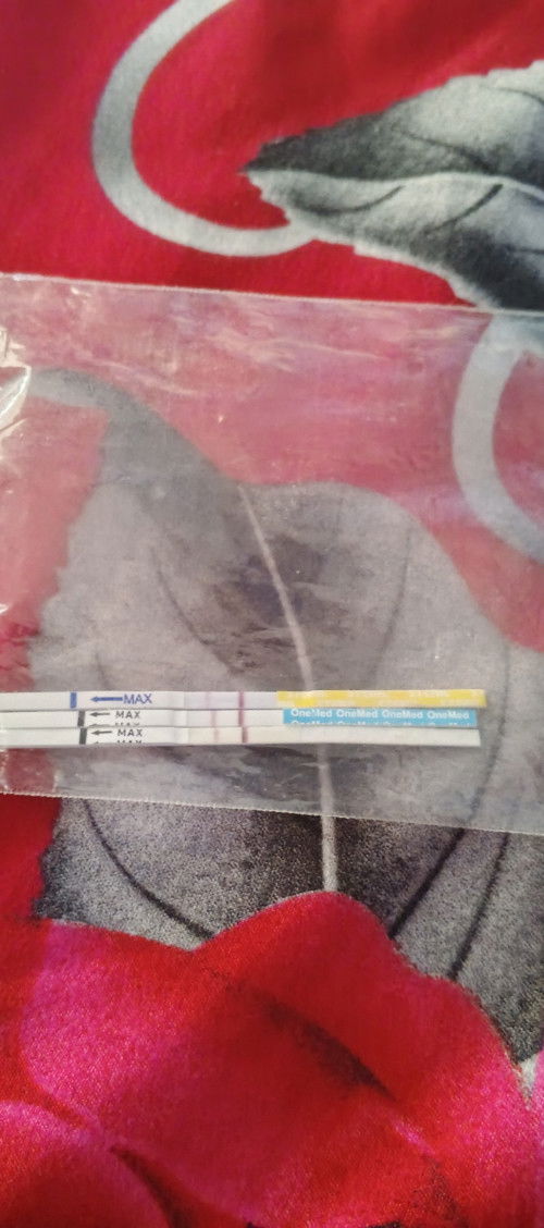 telat 6 hari testpack garis 2 samar