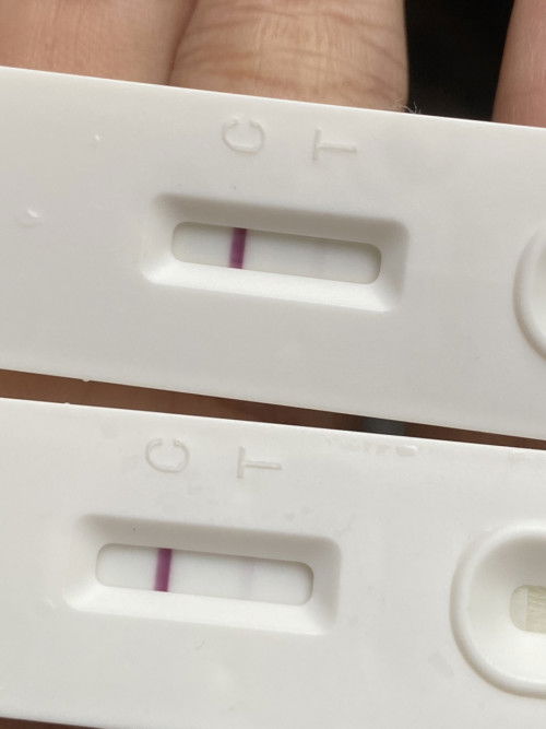 pregnancy test samar2