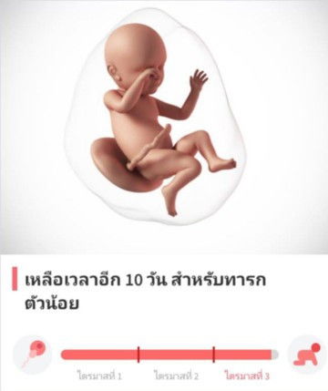 ทีมกรกฎาคม แตกกันไปหมดยังคะ บ้านอื่นเป็นไงบ้างน้อ