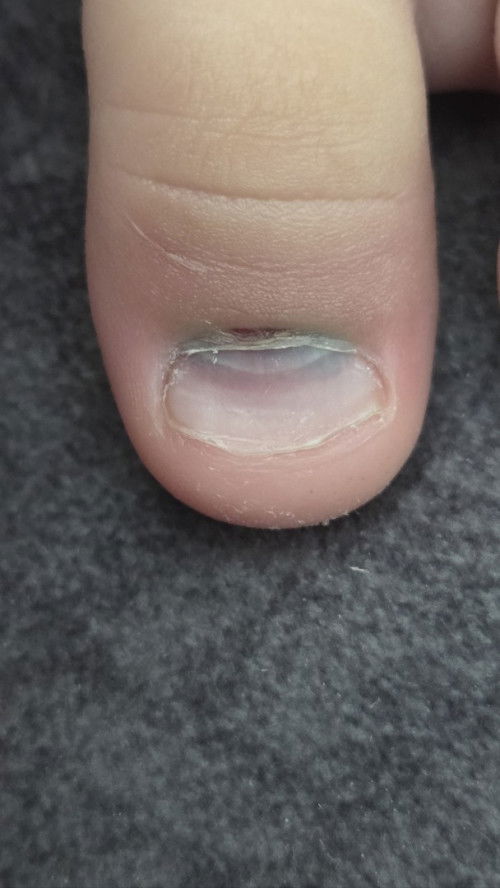 JARI KAKI BIRU