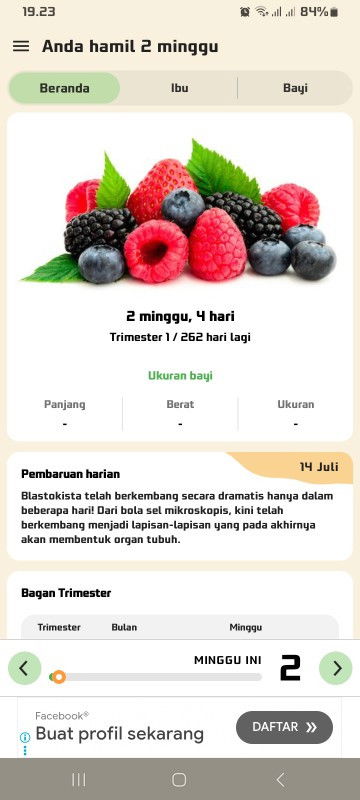 Apa ini termasuk akurat?