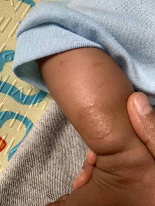 Bayi 4 bulan