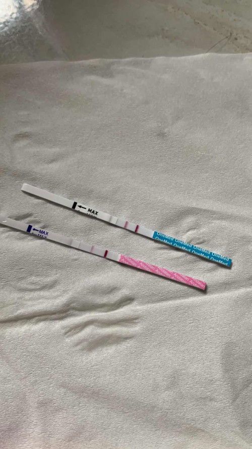 Hpht 29 mei