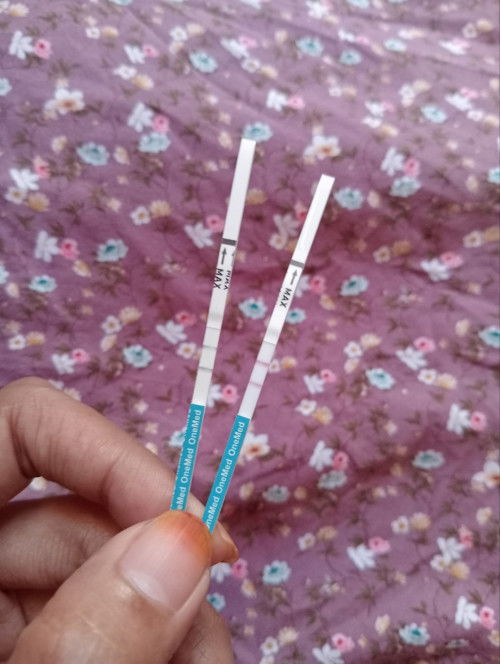 hpht 10 juni kmrn cek ke bidan garis 2 samar kt bidan positf trs cekdirmh gris 2 tebal,hamil TDK ya