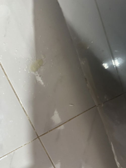 Cairan Vagina