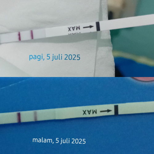 Hpht 3 juni 2025