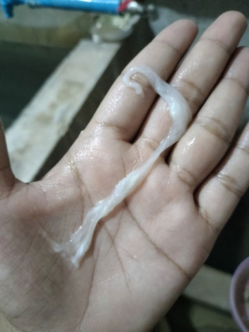 Post reply image