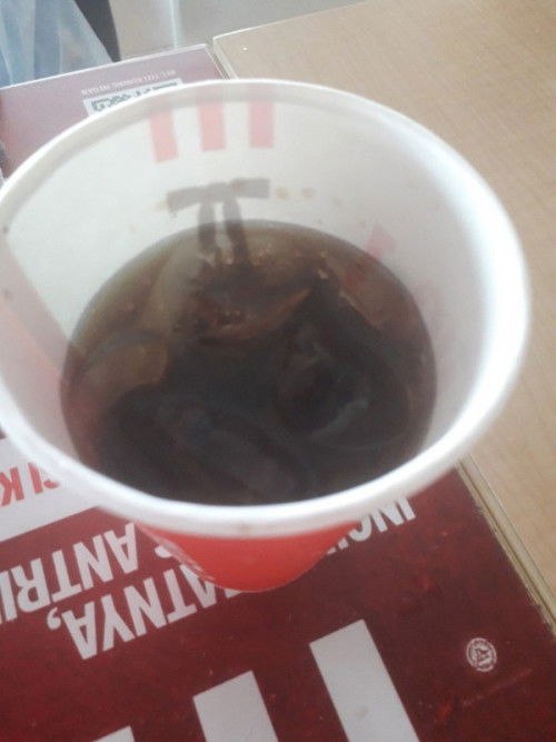 minuman soda