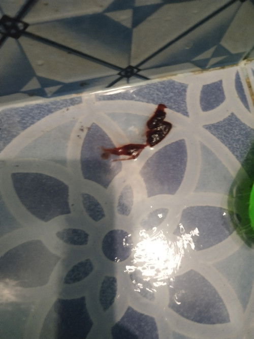 1mon ako nung 29 nag take agad ako pills Ksi nag stop dugo tapos after 2weeks dinugo ulit ako.