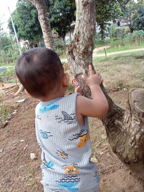 BB dan TB seret naik
