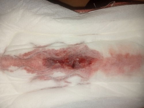 Medyo pink and fresh red po siya and may halong brown tas parang malabnaw siya parang may tubig