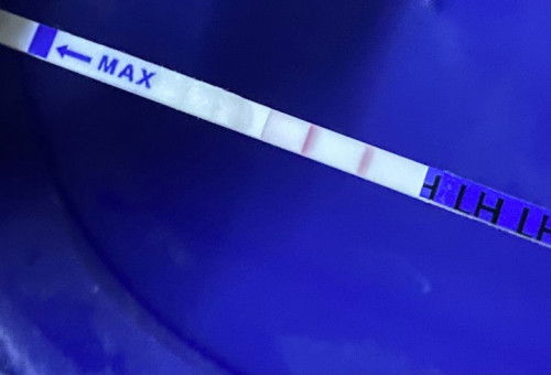 Ovulation test kit