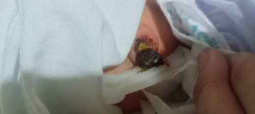 First time Mom