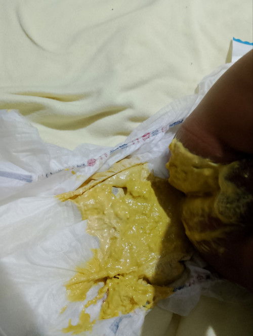 Pup bayi 3 bulan
