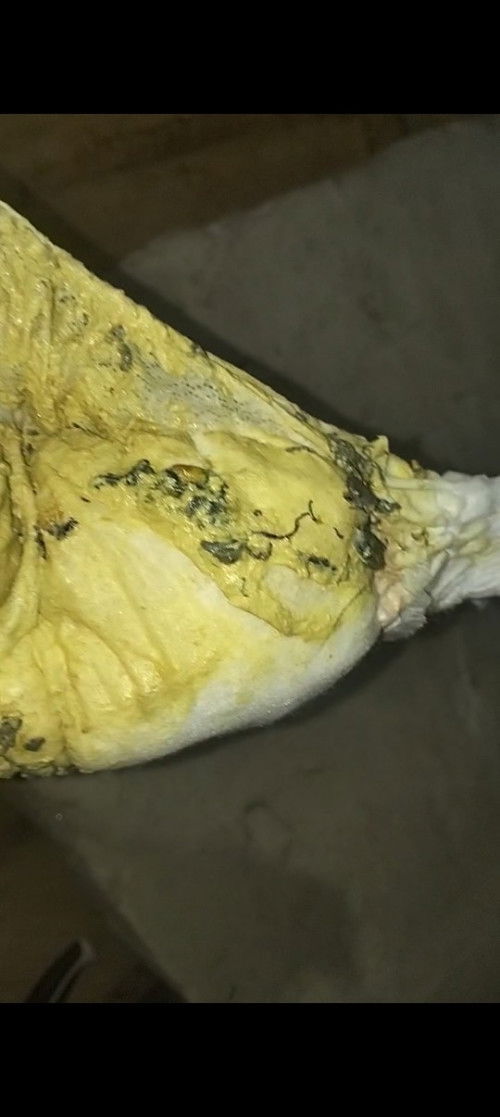 Tolong dibantu ini kenapa yah bab anak kami 1 tahun begini