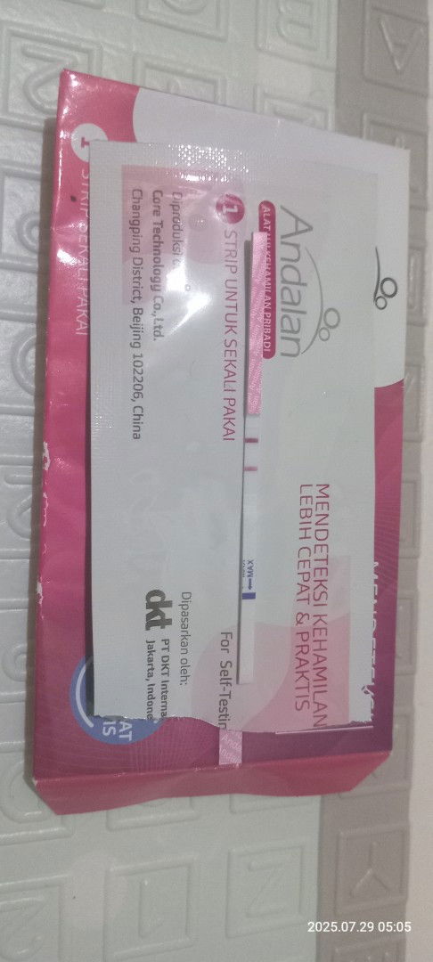 Kehamilan