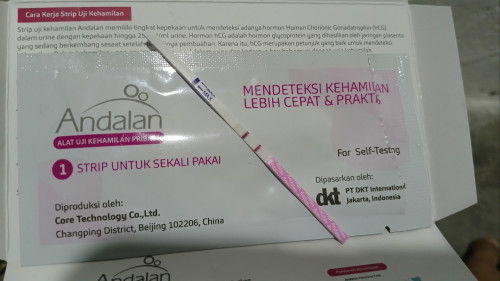 Hpht saya 28 juni, kemarin coba tespek hasilnya garis 2 tebal, tapi saya nggak mual muntah.