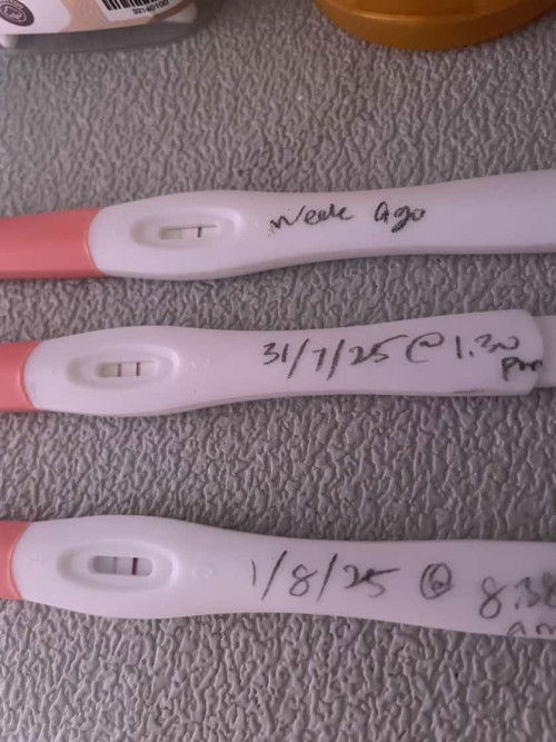 Pregnancy Test