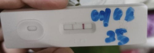 Second pregnancy