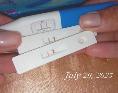 Last Menstruation: June 24,2025
Nag Pt: July 29, 2025
Check up: July 30, 2025
