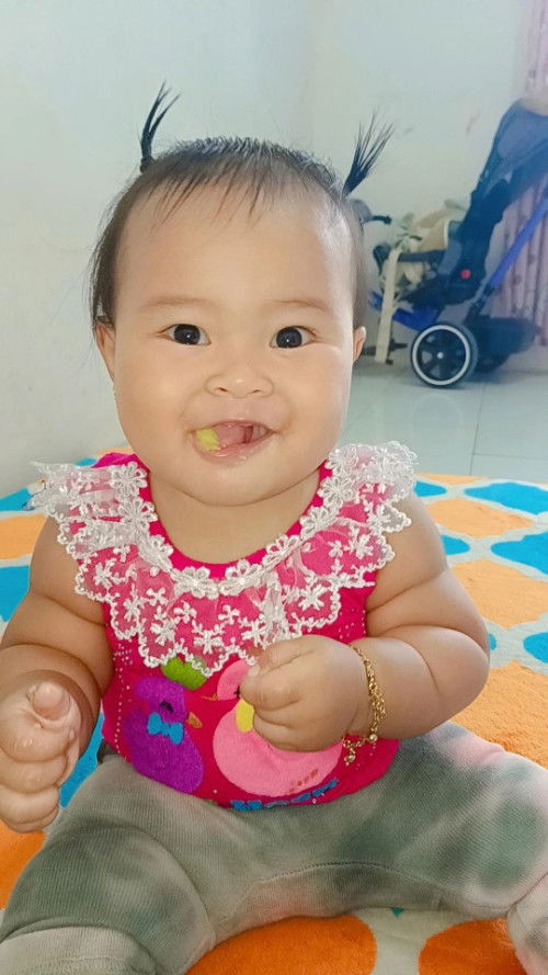 Perkembangan bayi 2024
