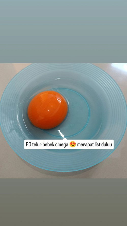 Jual Telor Bebek Omega Semarang