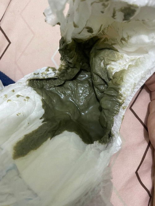 Pup bayi hijau seperti hitam