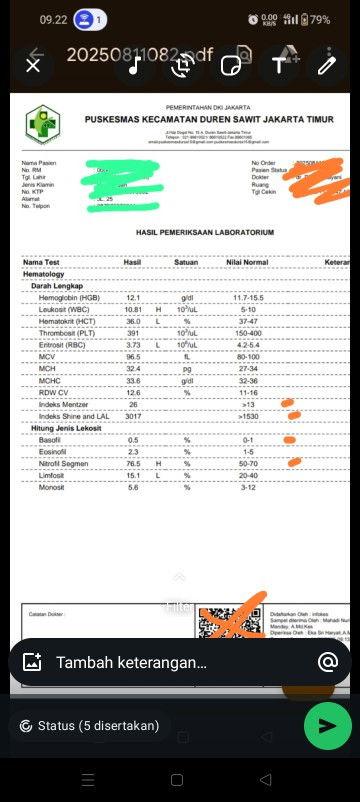 minta tolong bacakan hasil lab