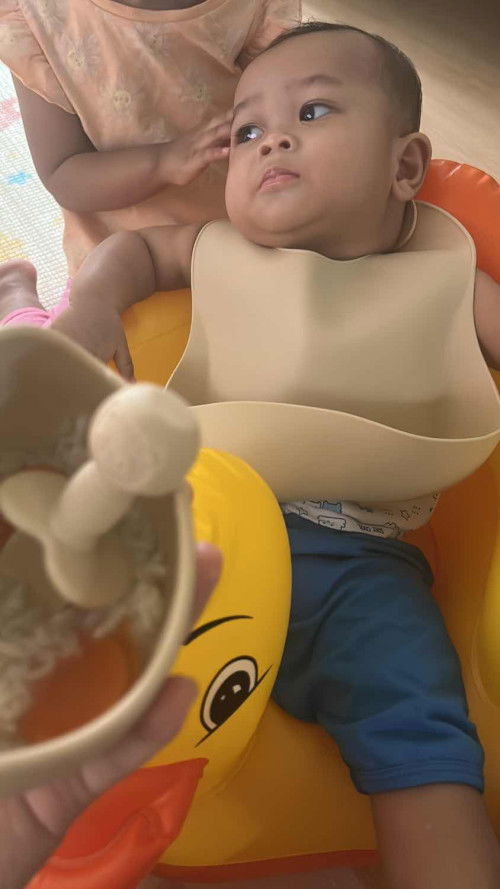 Makanan baby 6bulan