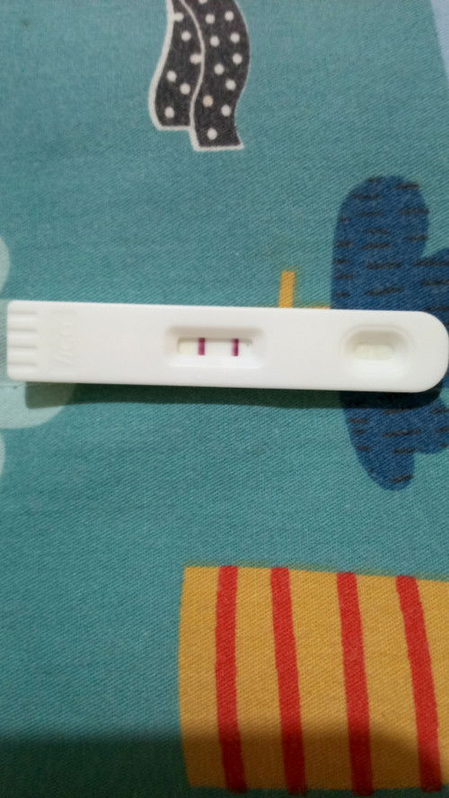 Pregnancy test