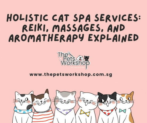 Holistic Cat Spa Services: Reiki, Massages, and Aromatherapy Explained-The Pets Workshop
