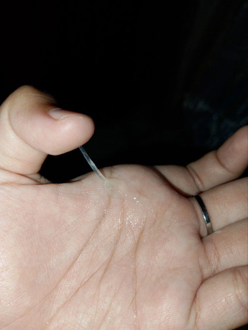 hpl agustus tgl 16,17,20,23