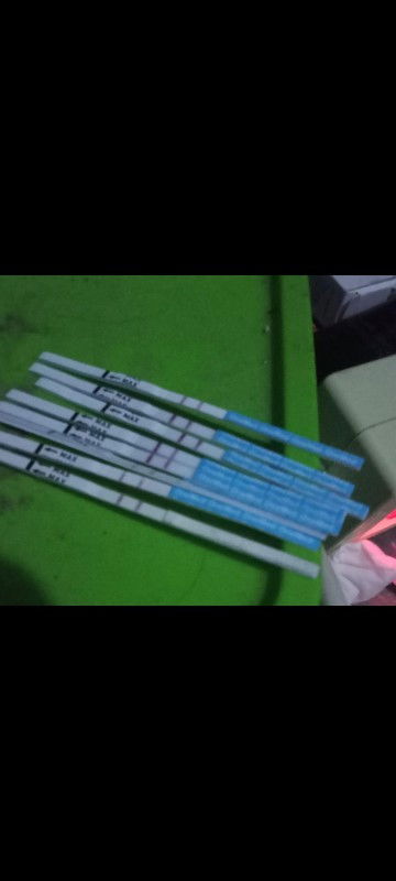 Cerita pejuang garis 2