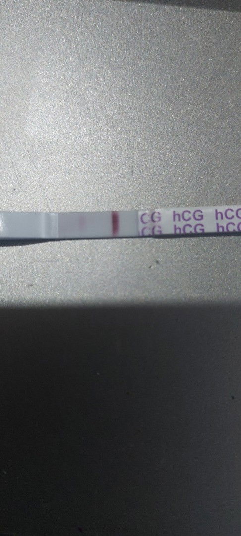 PT result negative or positive
