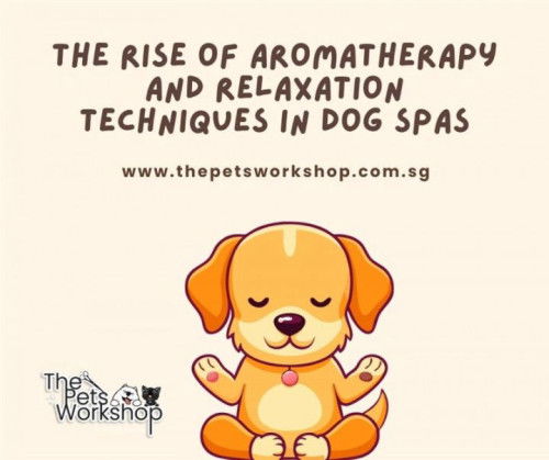 The Rise of Aromatherapy and Relaxation Techniques in Dog Spas-The Pets Workshop