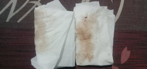 Keputihan warna coklat