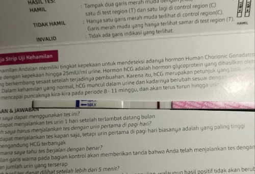 Testpack kehamilan