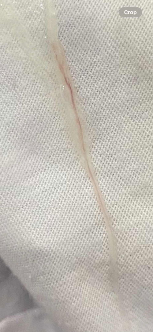 26 weeks TEAM NOVEMBER