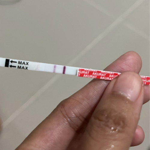 Apa yang harus dilakukan pertama kali?