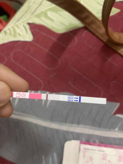 Pregnancy test kit