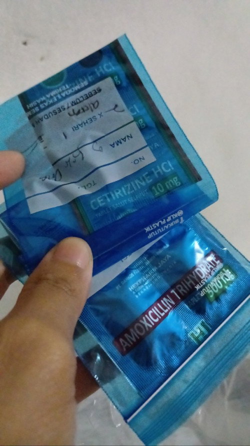 antibiotik saat hamil