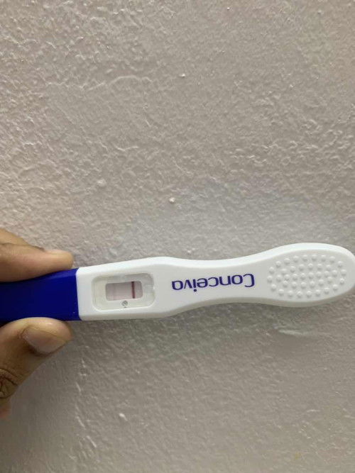Pregnancy test kit