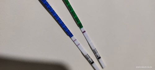 Pinjam mata ya,hari ini dpo 11,test hcg macam samar2,cuba opk terang sangat plakk,hcg tu positif ke?