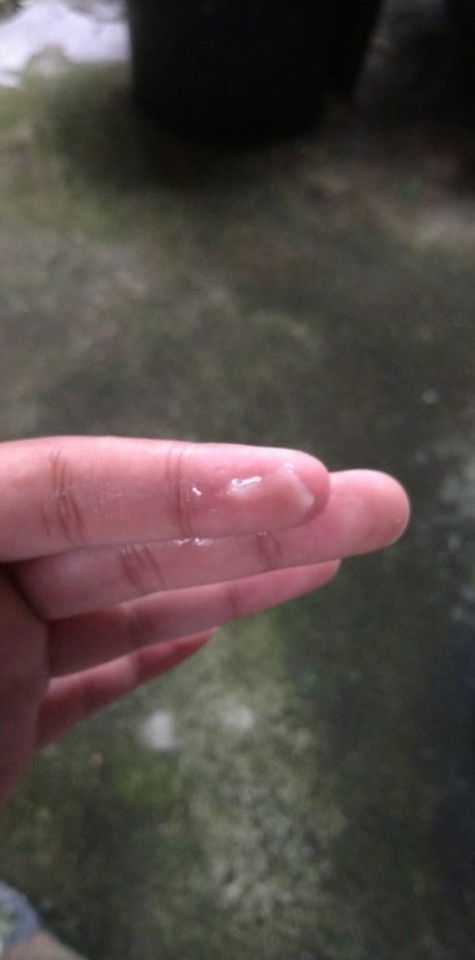 ขออนุญาตสอบถามค่ะ