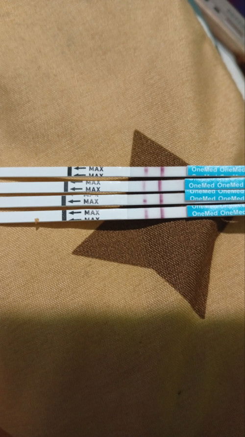 berawal berhenti kb yg 3 bulan