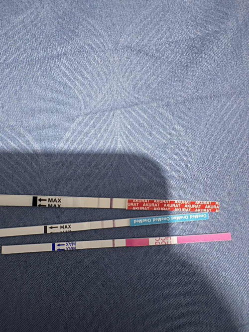 Testpack positif/tidak