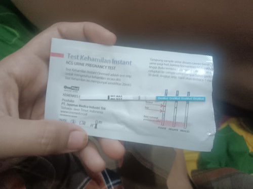 Bumil Busui