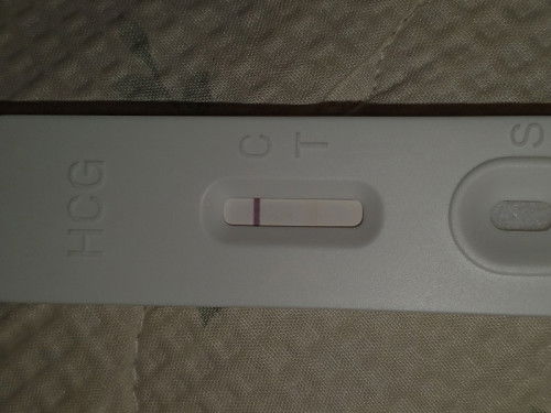Pcos or preggy?